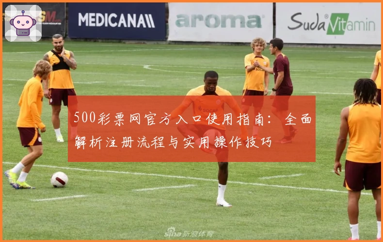 500彩票网官方入口使用指南：全面解析注册流程与实用操作技巧